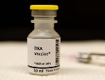 zika vaccine