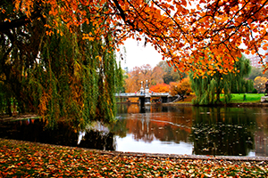 Autumn in Boston Public Garden